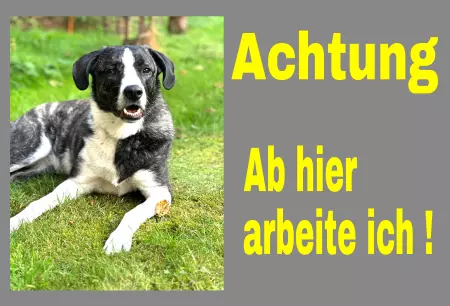 TierschildHunde Ab hier arbeite ich! Bild