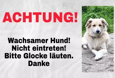 TierschildHunde ACHTUNG! Wachsamer Hund Bild