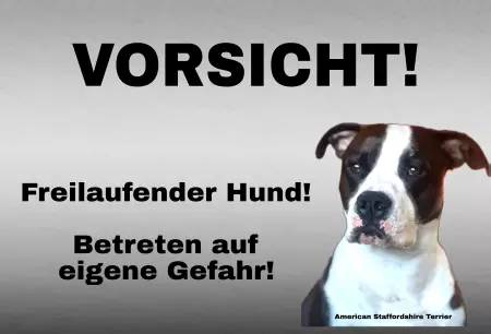 TierschildHunde Betreten auf eigene Gefahr! Bild