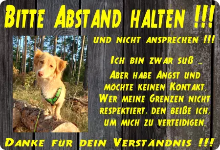 TierschildHunde BITTE ABSTAND HALTEN !!! Bild