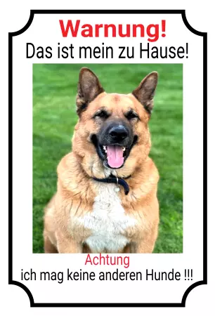 TierschildHunde Das ist mein Zuhause Bild