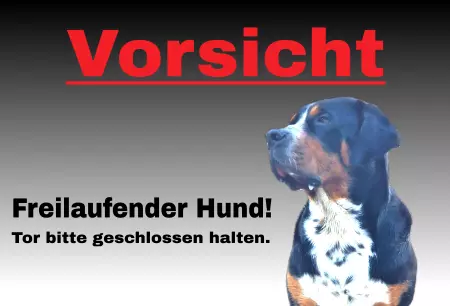 TierschildHunde Freilaufender Hund! Bild