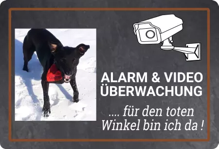 TierschildHunde .. für den toten Winkel ... Bild