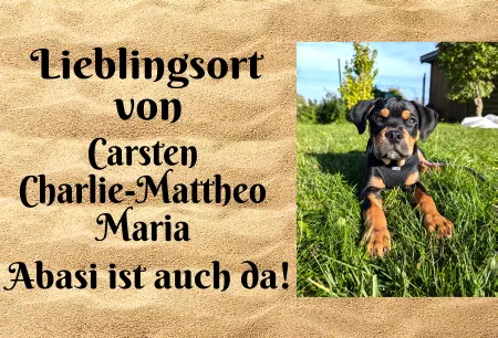 Tierschild Hunde Lieblingsort Bild