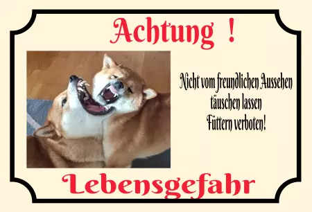 TierschildHunde Nicht täuschen lassen! Bild