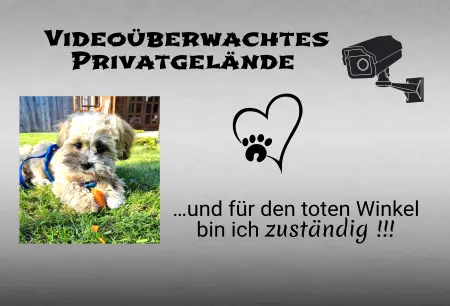 TierschildHunde Videoüberwachtes Privatgelände Bild