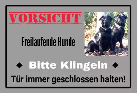 TierschildHunde VORISCHT  - Bitte klingeln Bild