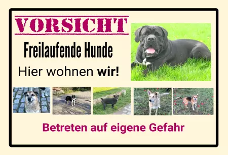 TierschildHunde VORSICHT Freilaufender Hund Bild