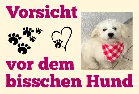 TierschildHunde Vorsicht vor dem bisschen Hund Bild