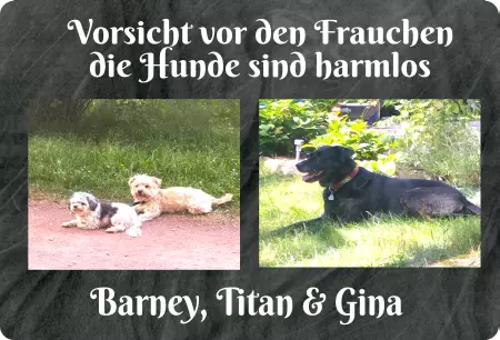 TierschildHunde Vorsicht vor dem Frauchen Bild