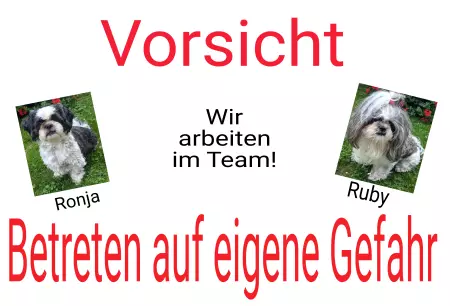 TierschildHunde Wir arbeiten im Team! Bild