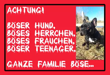 TierschildHunde Achtung! Böser Hund, böses Herrchen... Bild