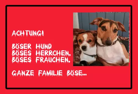 TierschildHunde Achtung! Böser Hund, Böses Herrchen, ... Bild