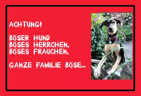 TierschildHunde Achtung! Böser Hund, Böses Herrchen, Böses... Bild