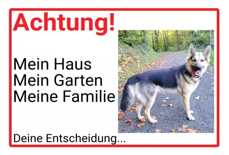 Tierschild Hunde Achtung! Deine Entscheidung... Bild