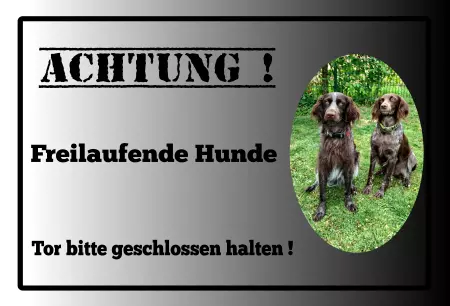 Tierschild Hunde Achtung! Freilaufende Hunde Bild