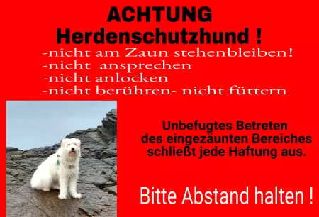 Tierschild Hunde ACHTUNG Herdenschutzhund! Bild