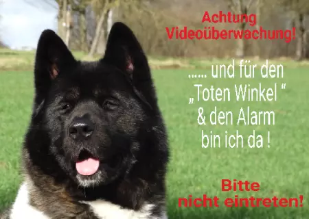 Tierschild Hunde Achtung Videoüberwachung Bild