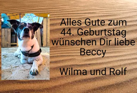 TierschildHunde Alles Gute zum 44 Geburtstag. Bild