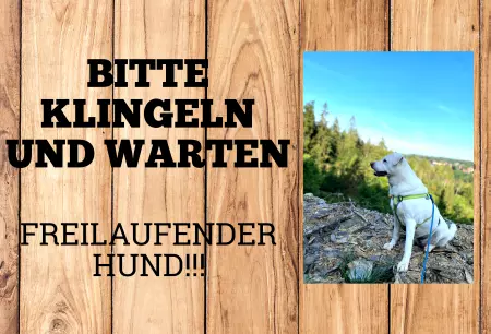 TierschildHunde Bitte klingeln und warten. Freilaufender Hund!!!! Bild