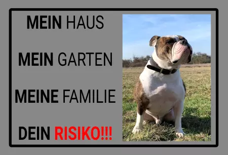 Tierschild Hunde DEIN RISIKO!!! Bild