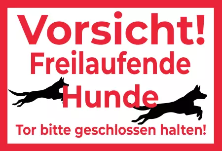 TierschildHunde Freilaufende Hunde Bild