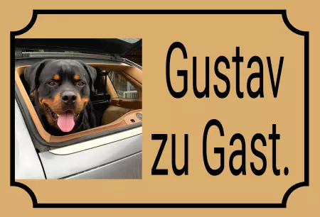 TierschildHunde Gustav zu Gast. Bild