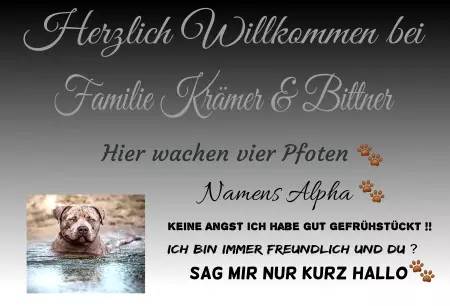 TierschildHunde Herzlich Willkommen bei Bild