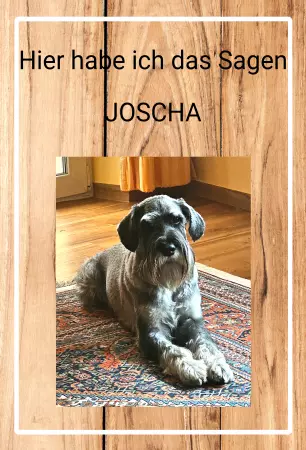 TierschildHunde Hier habe ich das Sagem JOSCHA Bild