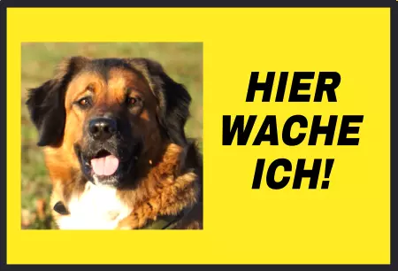 TierschildHunde Hier wache ich! Bild