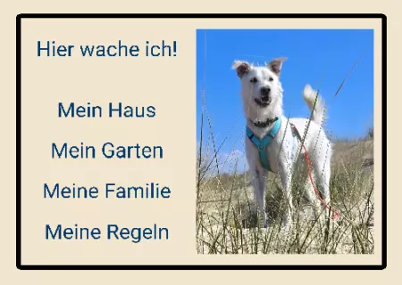 TierschildHunde Hier wache ich! Bild