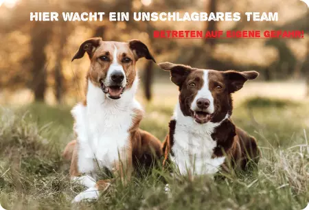 TierschildHunde Hier wacht ein unschlagbares Team Bild