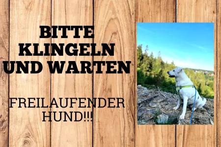 TierschildHunde KLINGELN UND WARTEN Bild