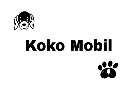 TierschildHunde Koko Mobil Bild