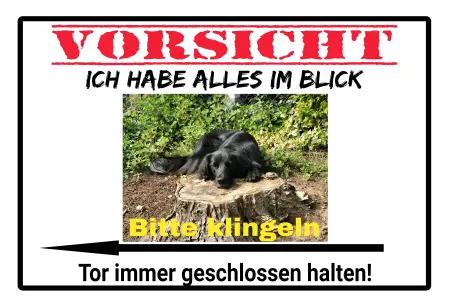 Tierschild Hunde Tor geschlossen halten Bild