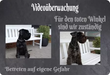 Tierschild Hunde Videoüberwachung Für den toten Winkel ... Bild