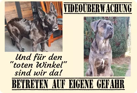 TierschildHunde Videoüberwachung, und für den 