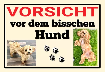 Tierschild Hunde VORSICHT vor dem bisschen Hund Bild