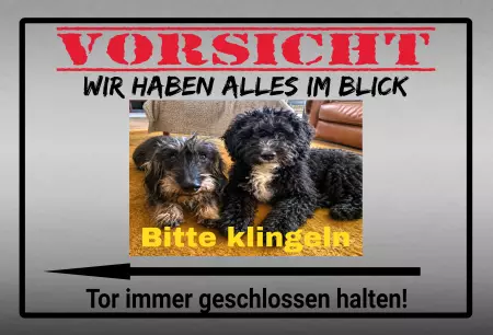 TierschildHunde Wir haben alles im Blick Bild